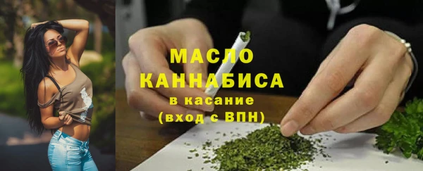 apvp Инсар
