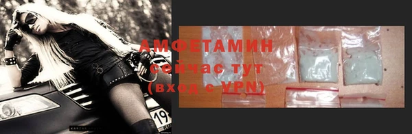 apvp Инсар