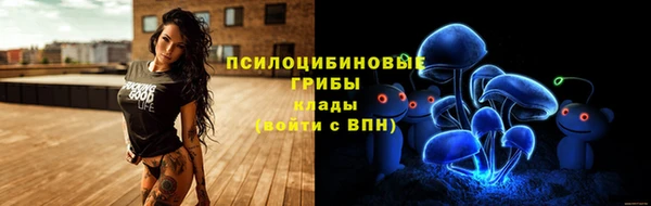 спиды Иннополис