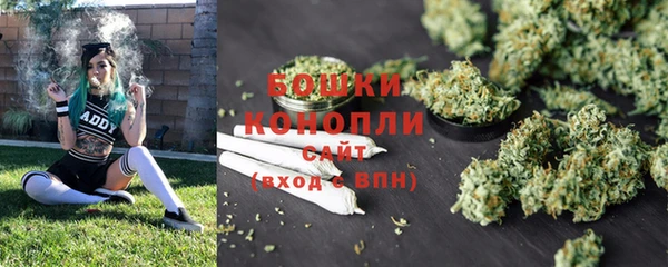 спиды Иннополис