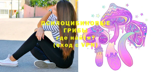 apvp Инсар