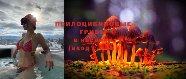 ALPHA PVP Каменногорск