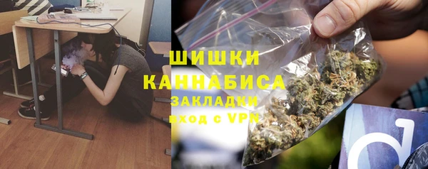 apvp Инсар